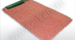 CORAL-TOLSTIY-1pc-5