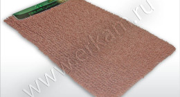 CORAL-TOLSTIY-1pc-18