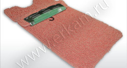 CORAL-TOLSTIY-2pcs-3