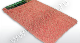 CORAL-TOLSTIY-1pc-9