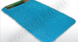 CORAL-TOLSTIY-1pc-8