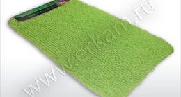 CORAL-TOLSTIY-1pc-12