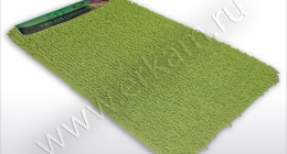 CORAL-TOLSTIY-1pc-13
